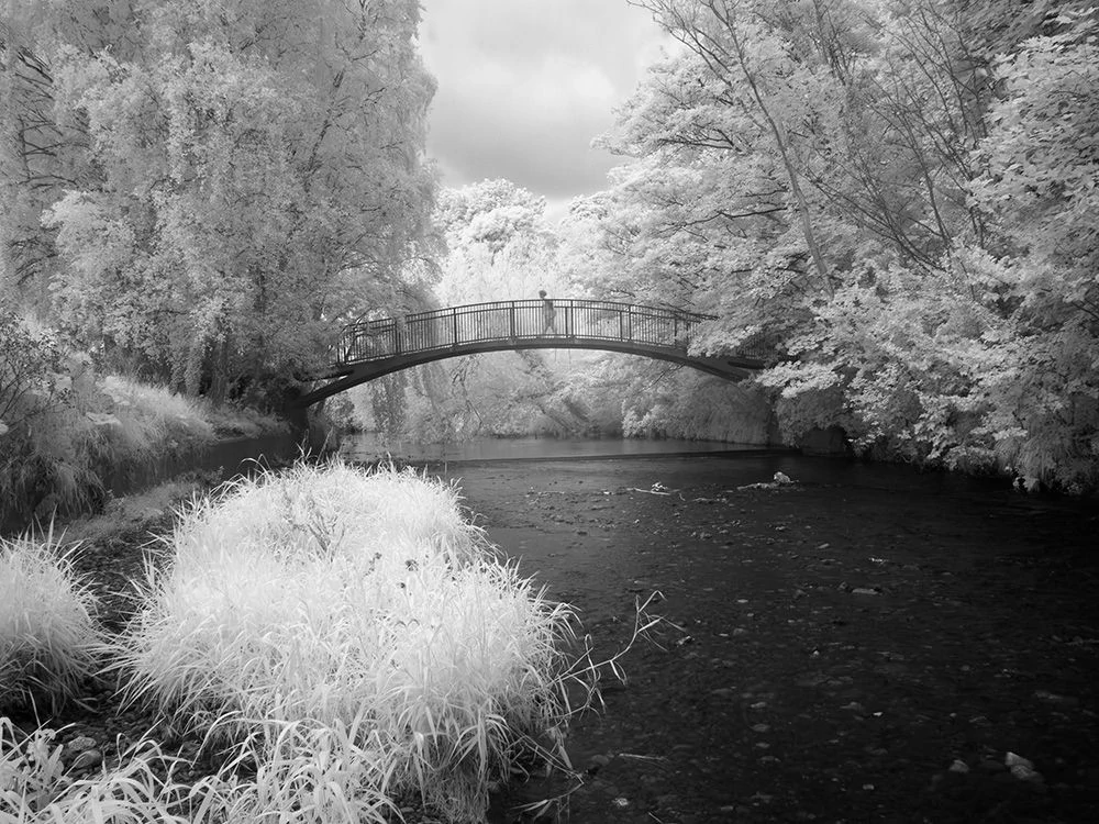 A black & white infrared image of the pedestrian bridge, at the back of the High School, Dublin, as it spans the River Dodder onto the lower Dodder road