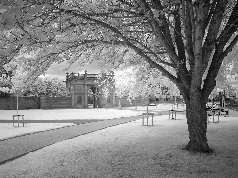 A black& white infrared image of Ely's Arch (once the gate to Rathfarnham Castle) from under the trees on the lower Dodder Road