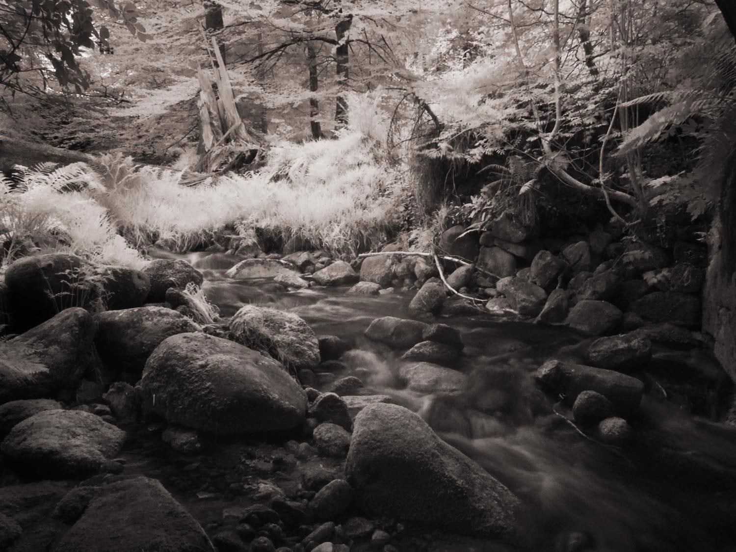 Landscapes come out so well in infrared. This stream with rocks and grass looks amazing