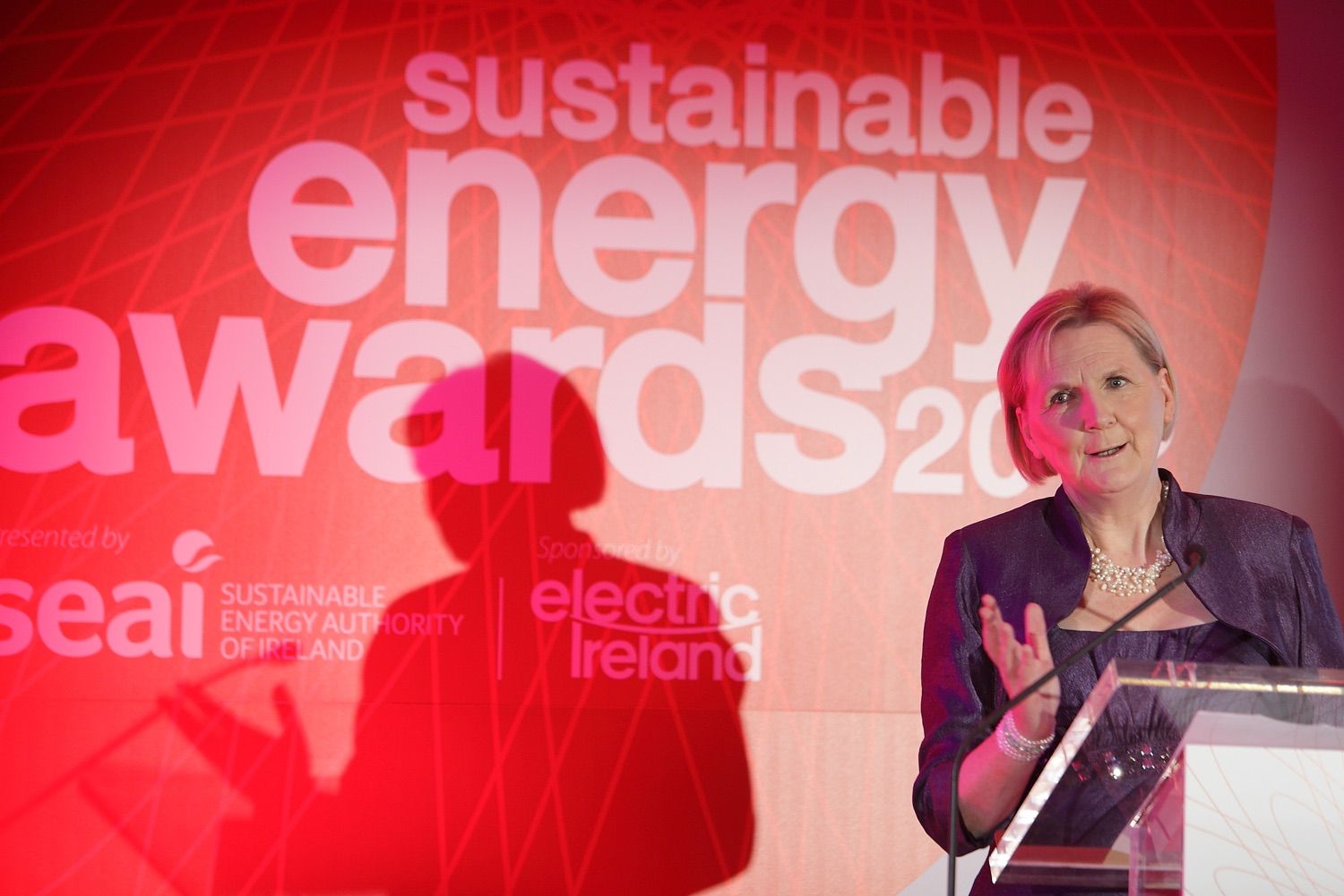 Brid Horan addresses the guests at the Sustainable Energy Awards