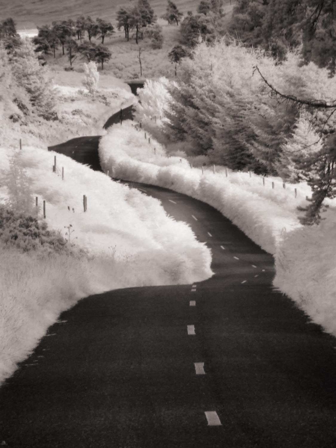 I love the road leading away into the distance and the contrast with the vegetation